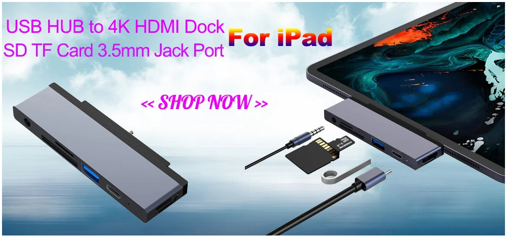 iPad Bag