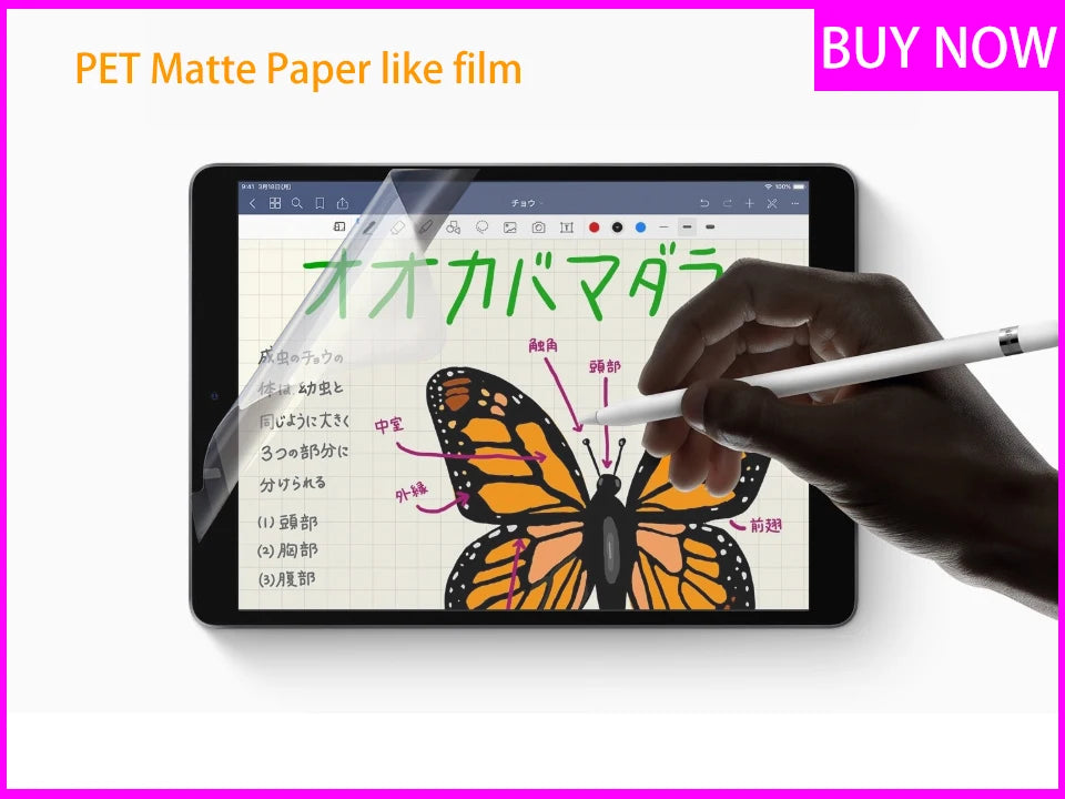 iPad Bag