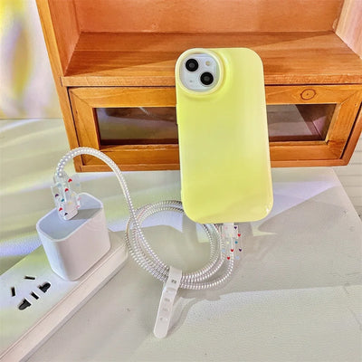 Apple charger protective case