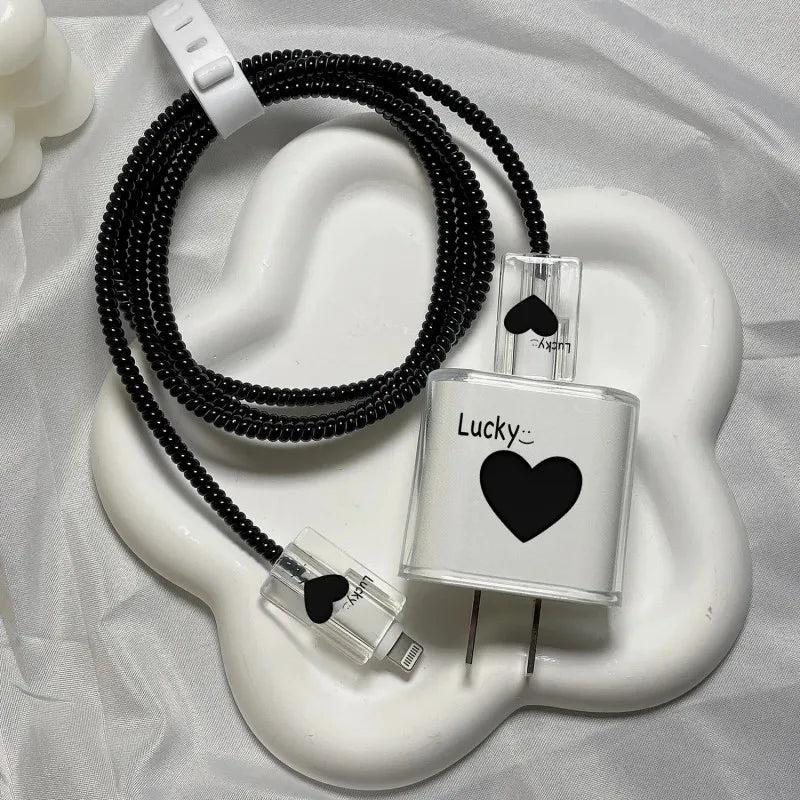 Apple charger protective case