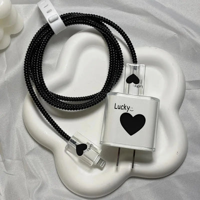 Apple charger protective case